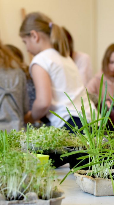 Podgórze bez Plastiku 2020