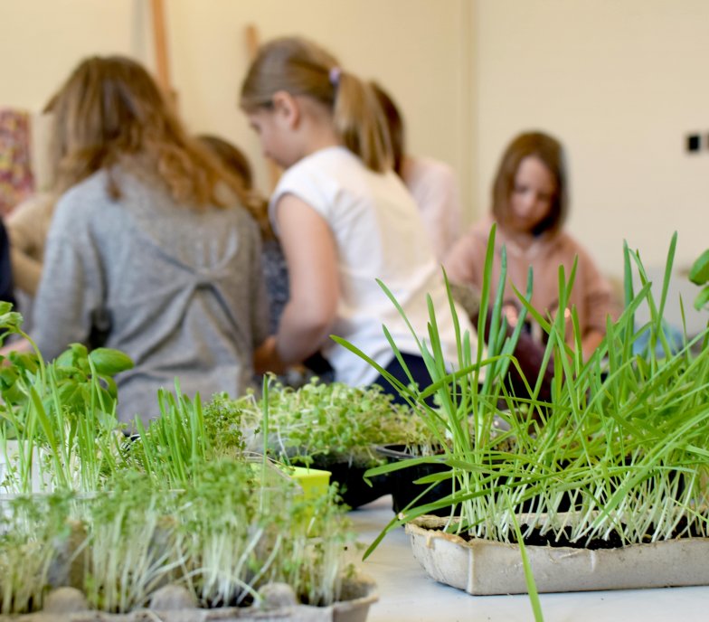 Podgórze bez Plastiku 2020