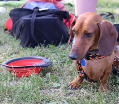 Lato nad Bagrami 2019