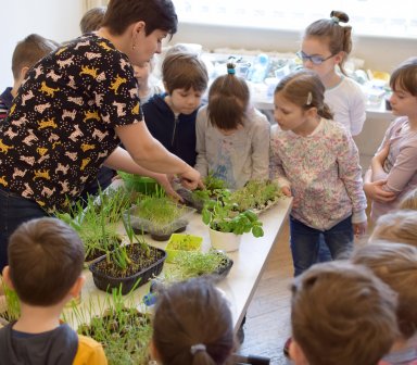 Podgórze bez Plastiku 2020