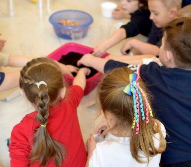 Podgórze bez Plastiku 2020