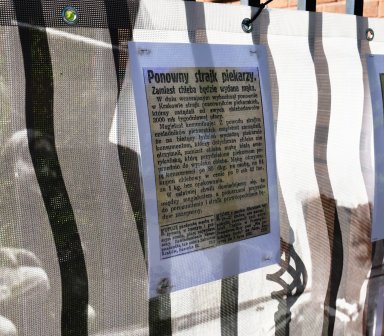 Wystawa "Przystań Uśmiech"