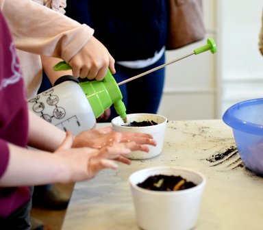 Podgórze bez Plastiku 2020