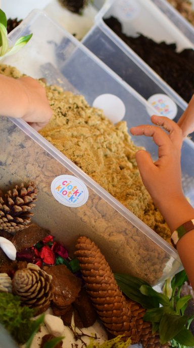 Letnie Zajęcia Edukacyjne