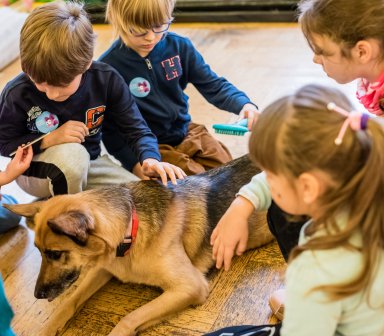 Podgórski Klub Juniora