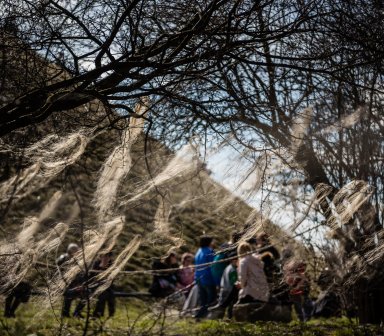 Tradycyjne Święto Rękawki 2018